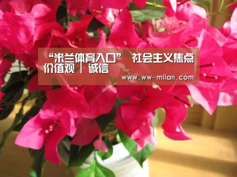 “米兰体育入口”
社会主义焦点价值观 | 诚信(图4)